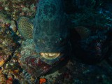 Pousada em Fernando de Noronha